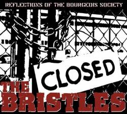 The Bristles : Reflections of the Bourgeois Society